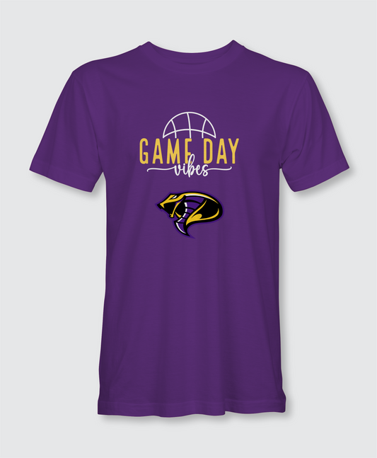 Fountain Lake Cobras | Basketball | Game Day Vibes
