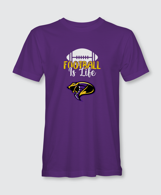 Fountain Lake Cobras | Football | Football Is Life